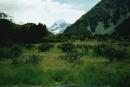 at-nmt-cook.jpg 2.9K