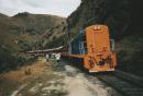 dunedin-train.jpg 3.1K