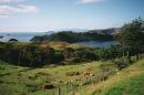 to-coromandel.jpg 3.2K